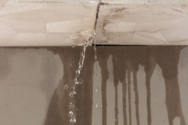 Professional Structural Drying technician working in Harwich Port, MA